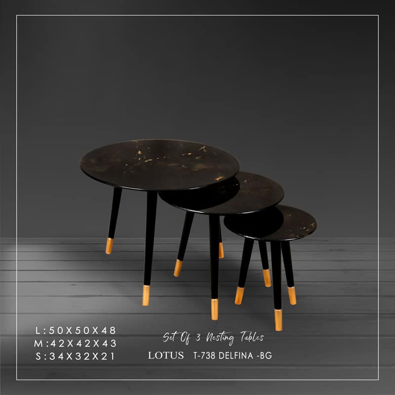 t-738-DELFINA-BG t-738-DELFINA-BG